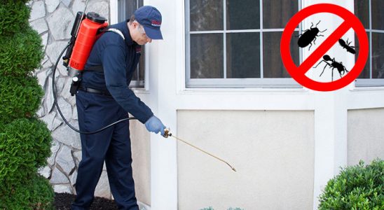 Dörtdivan Akrep İlaçlama böcek ilaçlama ve haşere kontrolü — ilaclama-tr.com